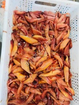 Икра сельди свежемороженая