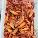 Икра сельди свежемороженая