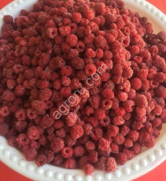 Малина для варенья