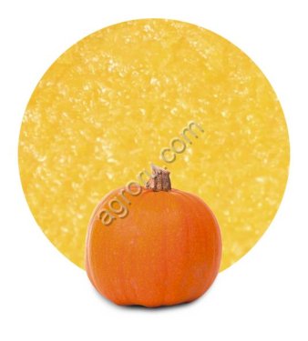 Pumpkin puree concentrate