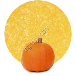 Pumpkin puree concentrate
