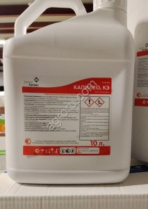 Капилео, КЭ