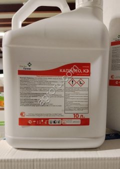 Капилео, КЭ