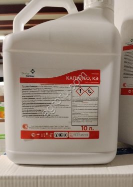 Капилео, КЭ