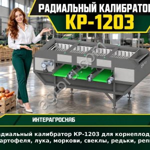 Радиальный калибратор КР-1203 для корнеплодов (картофеля, лука, моркови, свеклы, редьки, репы)