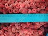 малина замороженная Киргизия Эксра