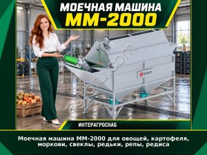 Моечная машина ММ-2000 для овощей, картофеля, моркови, свеклы, редьки, репы, редиса