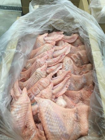 Мясо индейки оптом (Разделка, субпродукты)