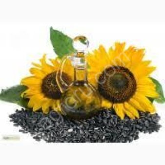 Подсолнечник масличный