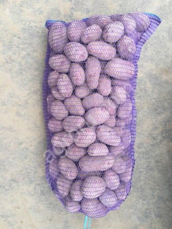 Картофель от производителя