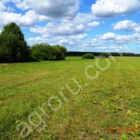 Участок 6, 85 га.сельхоз