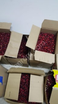 свежую клюкву