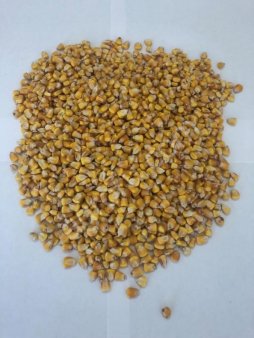 Кукуруза оптом от производителя