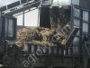 Компост фазы II для выращивания шампиньона