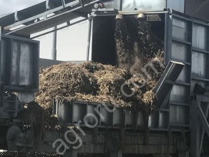 Компост фазы II для выращивания шампиньона