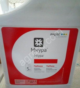 Миура КЭ