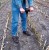 Измеритель плотности почвы Wile Soil (пенетрометр)