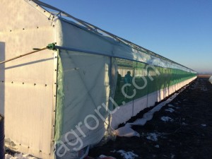 Теплица фермерская