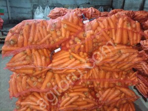 Морковь мытая оптом