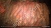 Морковь