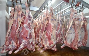 Свинина оптом. Полутуши от 1 т от производителя