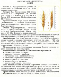 Семена озимой пшеницы Аксинья Станичная Аскет