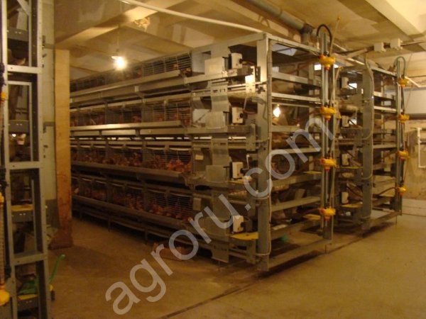 Птицефабрика