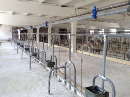 Молокопровод на 200 голов