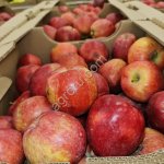 Яблоки разных сортов