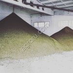 жмых рапсовый