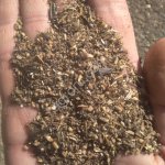 отходы подсолнечника