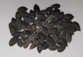 Семена штирийской тыквы сушеные (семечка тыквенная)