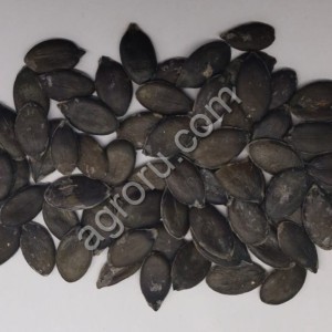 Семена штирийской тыквы сушеные семечка тыквенная