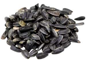 Семена подсолнечника  | ЭКСПОРТ | SUNFLOWER SEEDS FOR SALE