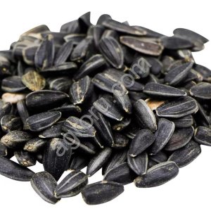 Семена подсолнечника | ЭКСПОРТ | SUNFLOWER SEEDS FOR SALE