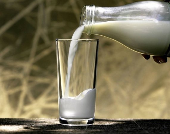 Эксперты заговорили о снижении мировых цен на молоко
