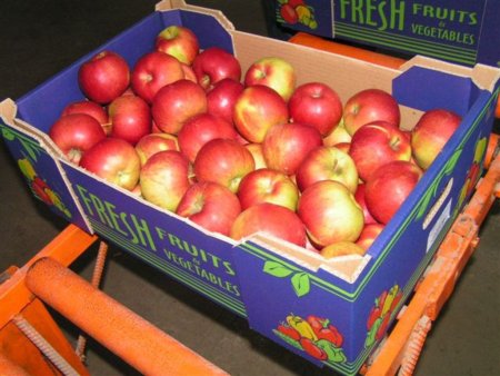 Цены на польские яблоки слишком высокие