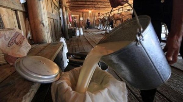 Мировое потребление молока снижается