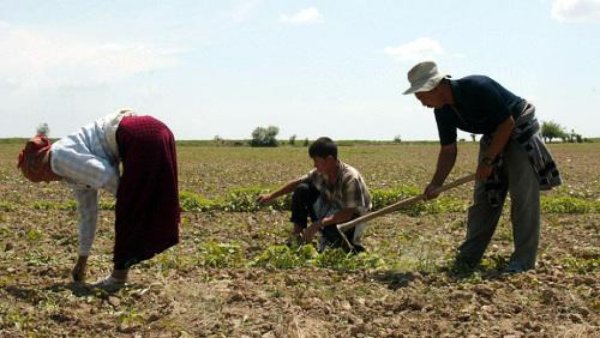 Продажа сельхозземель может окончательно уничтожить казахстанское село