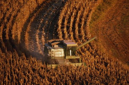 Китай намерен обеспечить богатый урожай зерна в 2011 году