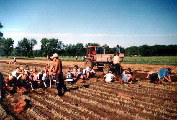 В Рязанской области активно ведутся ВПР