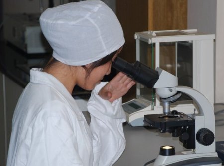 Власти Китая приказали закрыть половину молочных заводов