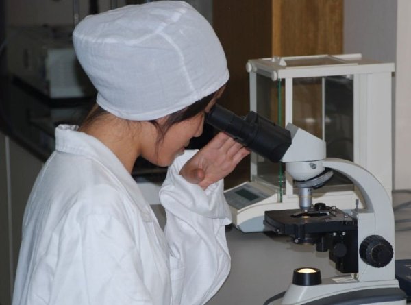 Власти Китая приказали закрыть половину молочных заводов