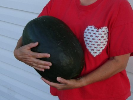 Эстетика вкуса по-японски