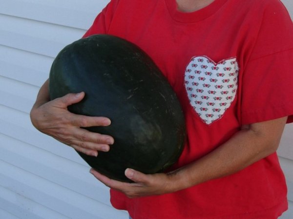 Эстетика вкуса по-японски