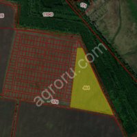 земли сельскохозяйственного назначения 9.6 га