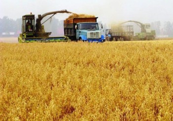 Отмена спецрежима НДС для аграриев отрицательно повлияет на развитие малого и среднего агробизнеса