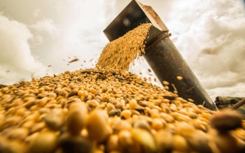 Пошлина на сою пойдет вверх - Краткий обзор рынка зерна