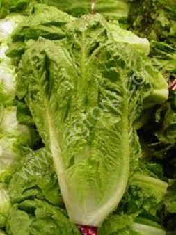 В Башкирии намолочено более 3 млн. тонн зерна