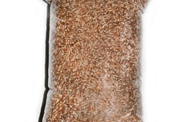 Цена фьючерса на пшеницу